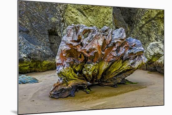 USA, Oregon, Bandon, Beach-Joe Restuccia III-Mounted Photographic Print