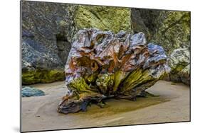 USA, Oregon, Bandon, Beach-Joe Restuccia III-Mounted Photographic Print