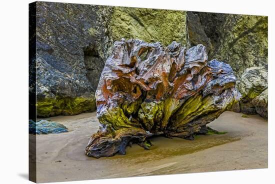 USA, Oregon, Bandon, Beach-Joe Restuccia III-Stretched Canvas