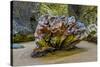 USA, Oregon, Bandon, Beach-Joe Restuccia III-Stretched Canvas