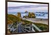 USA, Oregon, Bandon, Beach-Joe Restuccia III-Framed Photographic Print