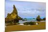 USA, Oregon, Bandon, Beach-Joe Restuccia III-Mounted Photographic Print