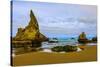 USA, Oregon, Bandon, Beach-Joe Restuccia III-Stretched Canvas