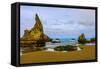 USA, Oregon, Bandon, Beach-Joe Restuccia III-Framed Stretched Canvas