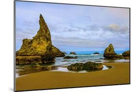 USA, Oregon, Bandon, Beach-Joe Restuccia III-Mounted Photographic Print