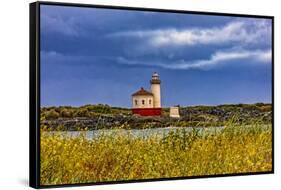 USA, Oregon, Bandon, Beach-Joe Restuccia III-Framed Stretched Canvas