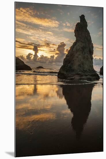 USA, Oregon, Bandon. Shore Scenic-Cathy & Gordon Illg-Mounted Photographic Print