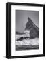 USA, Oregon, Bandon. Storm waves on coast.-Jaynes Gallery-Framed Photographic Print