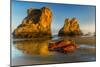 USA, Oregon, Bandon. Sunrise on beach.-Jaynes Gallery-Mounted Photographic Print