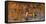 USA, Oregon, Baskett Slough Nwr, Northern Pintail (Anas Acuta) Drake-Rick A. Brown-Framed Stretched Canvas