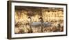 USA, Oregon, Baskett Slough Nwr, Tundra Swans (Cygnus Columbianus)-Rick A. Brown-Framed Photographic Print