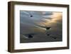 USA, Oregon. Beach Scenic at Sunset-Jaynes Gallery-Framed Photographic Print