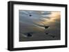 USA, Oregon. Beach Scenic at Sunset-Jaynes Gallery-Framed Photographic Print