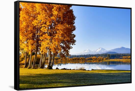 USA, Oregon, Bend, Fall at Black Butte Ranch in Central Oregon-Hollice Looney-Framed Stretched Canvas
