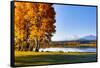 USA, Oregon, Bend, Fall at Black Butte Ranch in Central Oregon-Hollice Looney-Framed Stretched Canvas