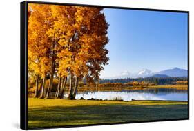 USA, Oregon, Bend, Fall at Black Butte Ranch in Central Oregon-Hollice Looney-Framed Stretched Canvas