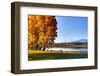 USA, Oregon, Bend, Fall at Black Butte Ranch in Central Oregon-Hollice Looney-Framed Photographic Print