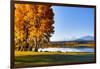 USA, Oregon, Bend, Fall at Black Butte Ranch in Central Oregon-Hollice Looney-Framed Photographic Print