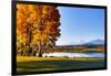 USA, Oregon, Bend, Fall at Black Butte Ranch in Central Oregon-Hollice Looney-Framed Photographic Print