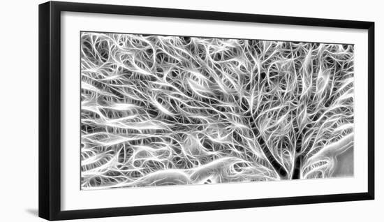 USA, Oregon. Black and white abstract of sea fan.-Jaynes Gallery-Framed Photographic Print