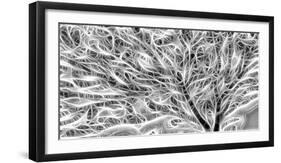 USA, Oregon. Black and white abstract of sea fan.-Jaynes Gallery-Framed Photographic Print