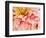 USA, Oregon, Canby, Clackamas County. Macro of a dahlia variety.-Julie Eggers-Framed Photographic Print