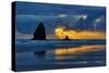 USA, Oregon, Cannon Beach. Sunset on Needles Seastack-Jean Carter-Stretched Canvas