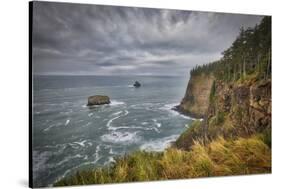 USA, Oregon, Cape Meares National Wildlife Refuge. The Pacific Ocean from the Cape Meares-Christopher Reed-Stretched Canvas