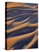 USA, Oregon, Cape Sebastian. Close-up of Sand Dunes-Steve Terrill-Stretched Canvas
