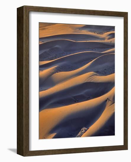 USA, Oregon, Cape Sebastian. Close-up of Sand Dunes-Steve Terrill-Framed Photographic Print