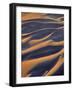 USA, Oregon, Cape Sebastian. Close-up of Sand Dunes-Steve Terrill-Framed Photographic Print