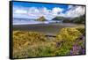 USA, Oregon, Cape Sebastian-Joe Restuccia III-Framed Stretched Canvas