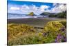 USA, Oregon, Cape Sebastian-Joe Restuccia III-Stretched Canvas