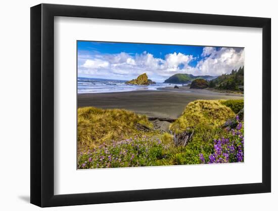 USA, Oregon, Cape Sebastian-Joe Restuccia III-Framed Photographic Print