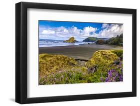 USA, Oregon, Cape Sebastian-Joe Restuccia III-Framed Photographic Print