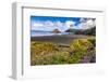 USA, Oregon, Cape Sebastian-Joe Restuccia III-Framed Photographic Print