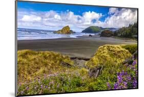 USA, Oregon, Cape Sebastian-Joe Restuccia III-Mounted Photographic Print