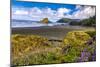 USA, Oregon, Cape Sebastian-Joe Restuccia III-Mounted Photographic Print