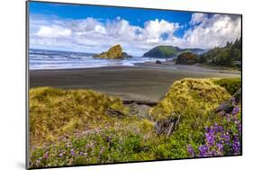 USA, Oregon, Cape Sebastian-Joe Restuccia III-Mounted Photographic Print