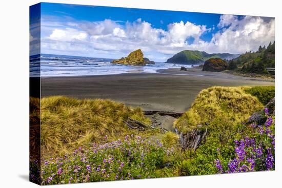 USA, Oregon, Cape Sebastian-Joe Restuccia III-Stretched Canvas