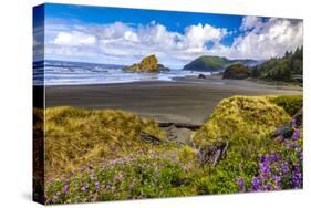 USA, Oregon, Cape Sebastian-Joe Restuccia III-Stretched Canvas