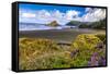 USA, Oregon, Cape Sebastian-Joe Restuccia III-Framed Stretched Canvas