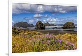 USA, Oregon, Cape Sebastian-Joe Restuccia III-Framed Photographic Print