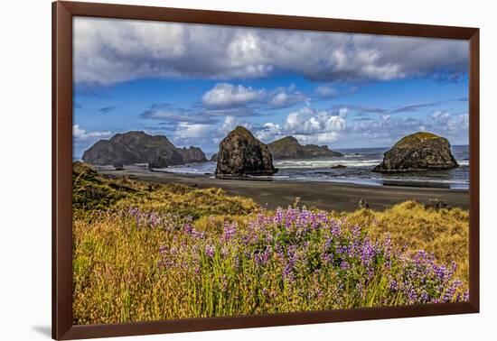 USA, Oregon, Cape Sebastian-Joe Restuccia III-Framed Photographic Print