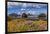 USA, Oregon, Cape Sebastian-Joe Restuccia III-Framed Photographic Print