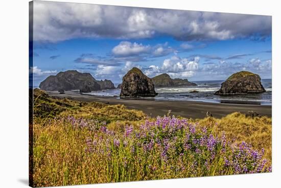 USA, Oregon, Cape Sebastian-Joe Restuccia III-Stretched Canvas