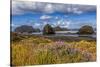 USA, Oregon, Cape Sebastian-Joe Restuccia III-Stretched Canvas