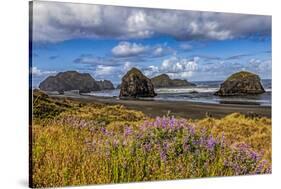 USA, Oregon, Cape Sebastian-Joe Restuccia III-Stretched Canvas