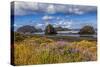 USA, Oregon, Cape Sebastian-Joe Restuccia III-Stretched Canvas