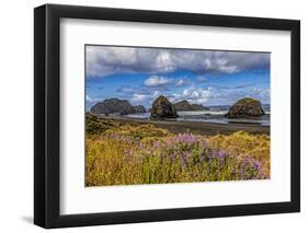 USA, Oregon, Cape Sebastian-Joe Restuccia III-Framed Photographic Print